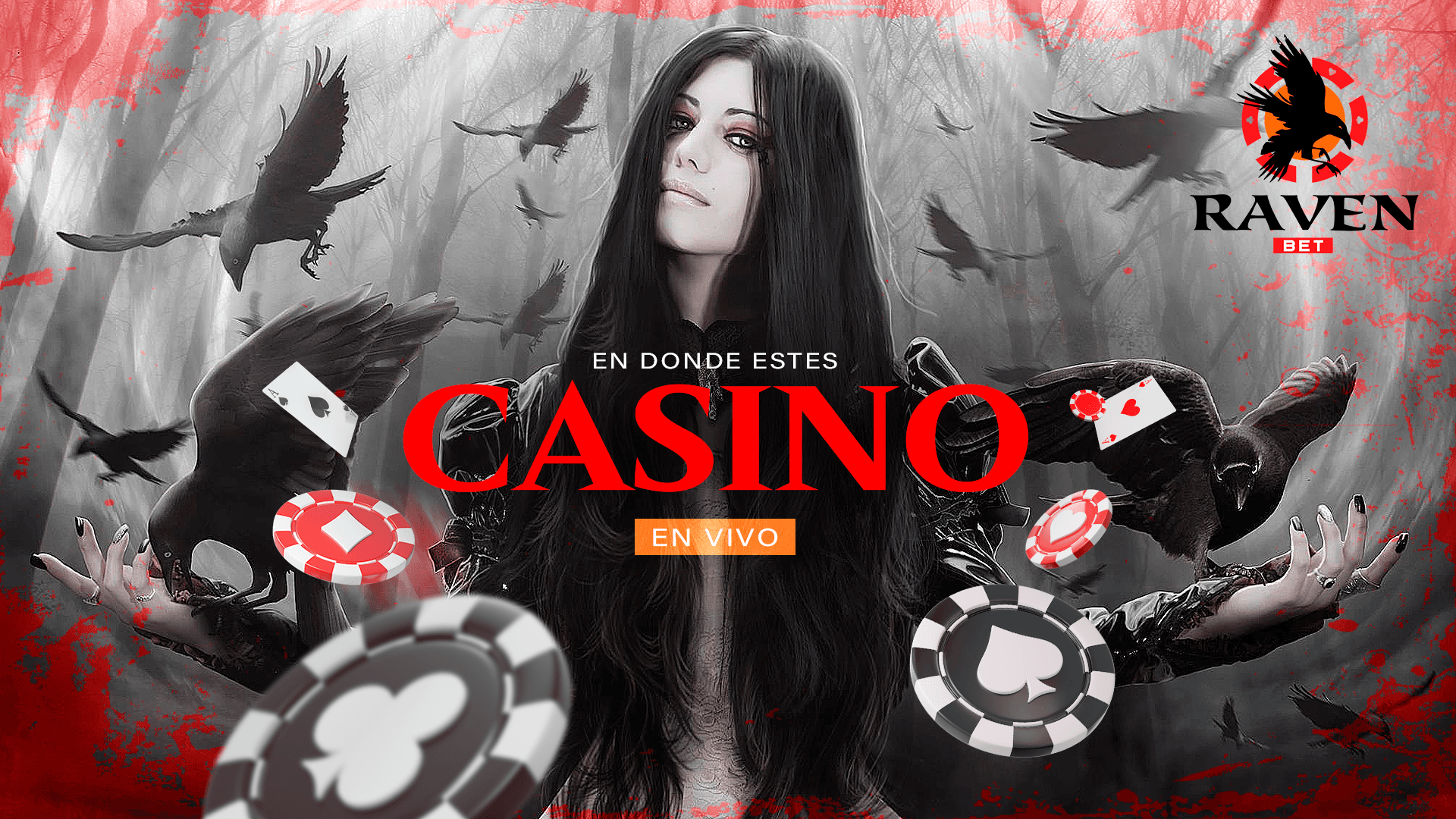 CASINO EN VIVO